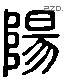 陽 Liushutong characters