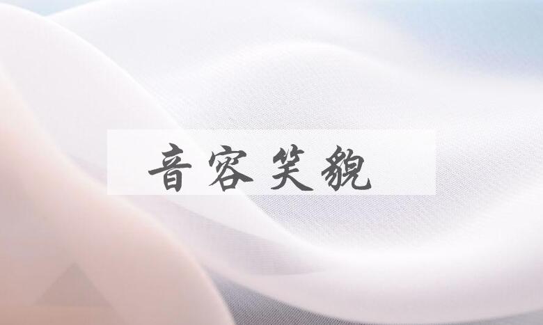 成语音容笑貌是什么意思？