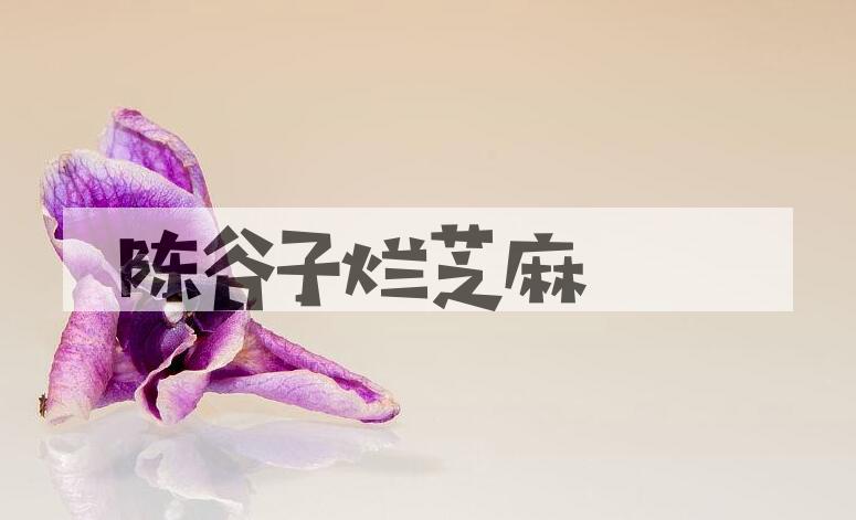 成语陈谷子烂芝麻是什么意思？