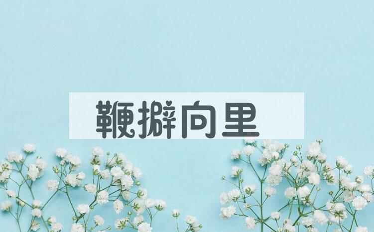 成语鞭擗向里是什么意思？