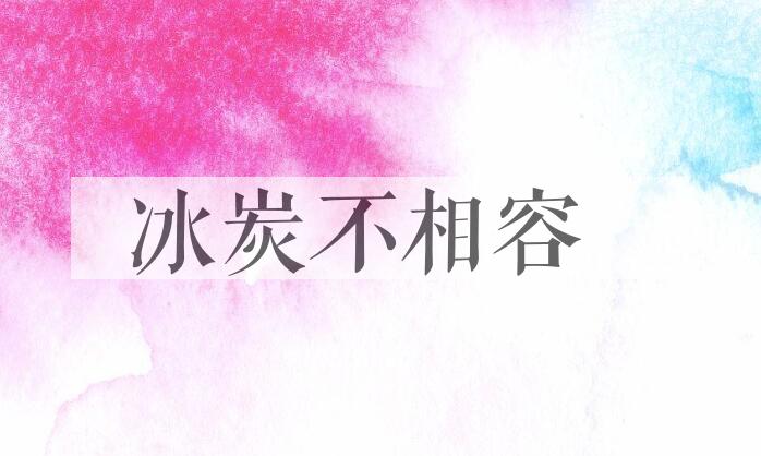 成语冰炭不相容是什么意思？