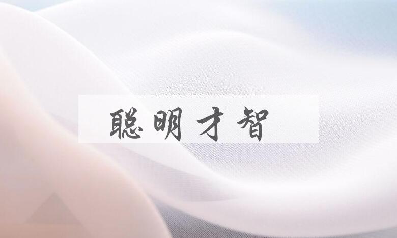 成语聪明才智是什么意思？