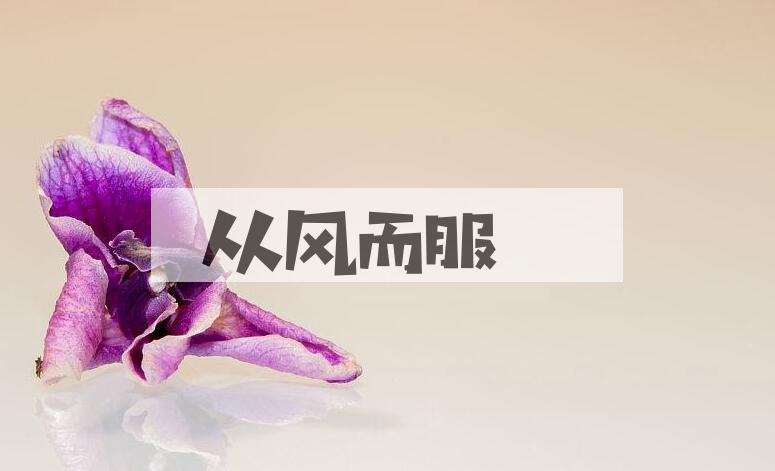 成语从风而服是什么意思？