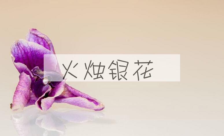 成语火烛银花是什么意思？