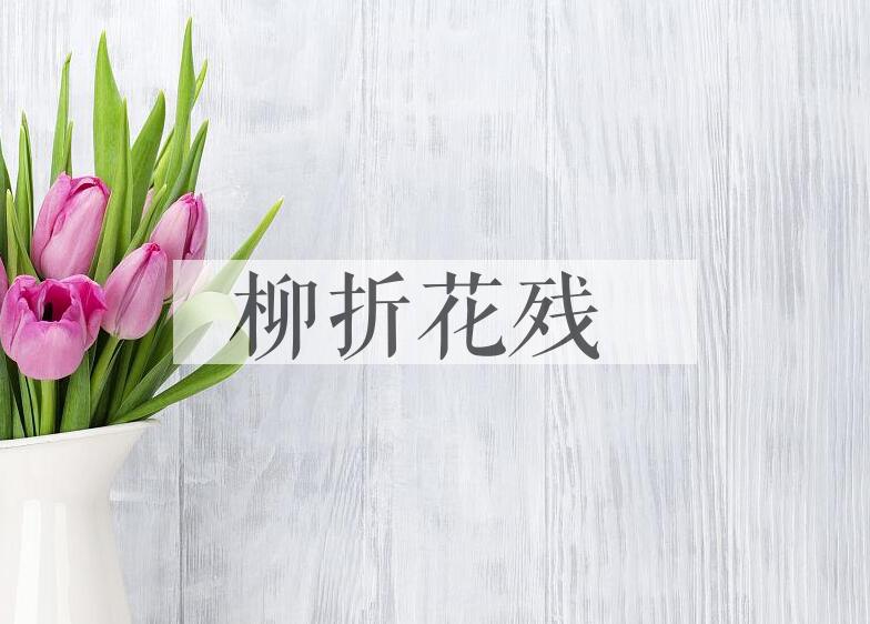 成语柳折花残是什么意思？