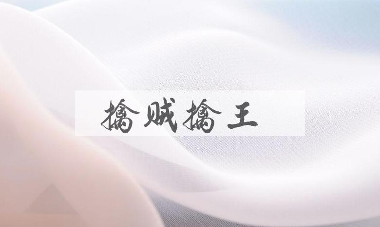 成语擒贼擒王是什么意思？