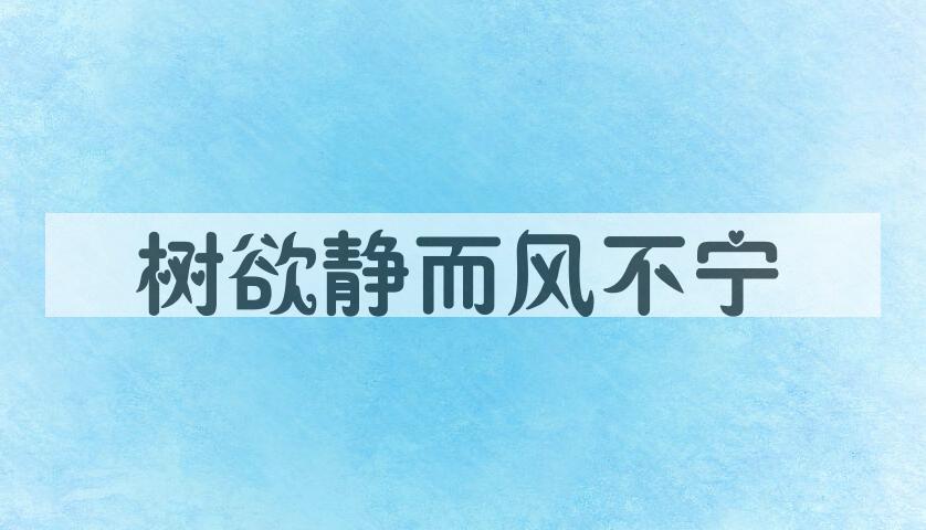 成语树欲静而风不宁是什么意思？