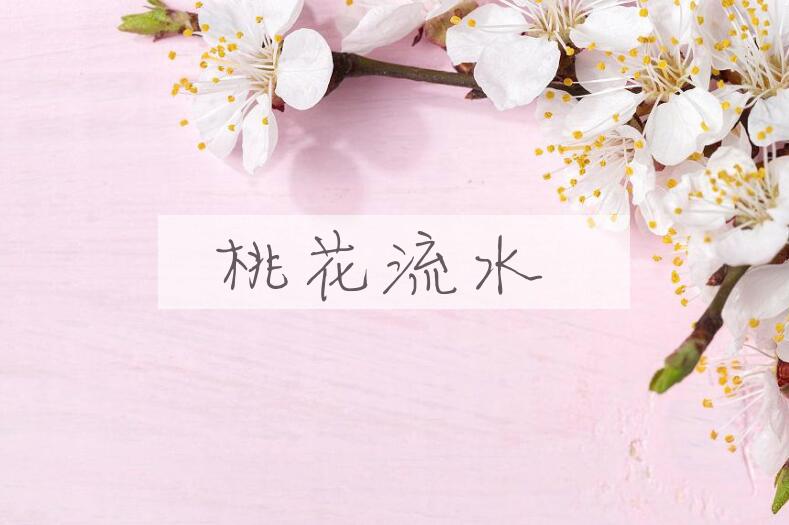 成语桃花流水是什么意思？