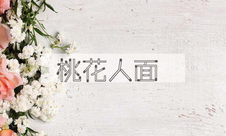 成语桃花人面是什么意思？