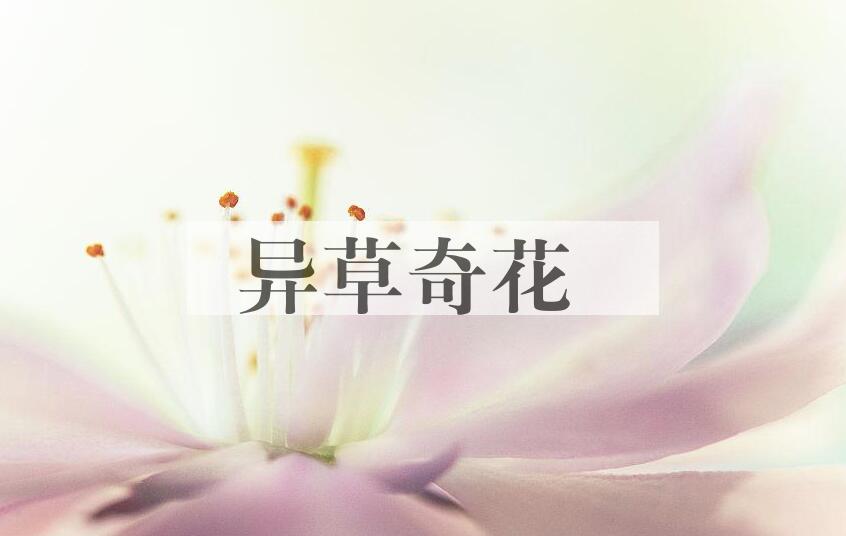 成语异草奇花是什么意思？