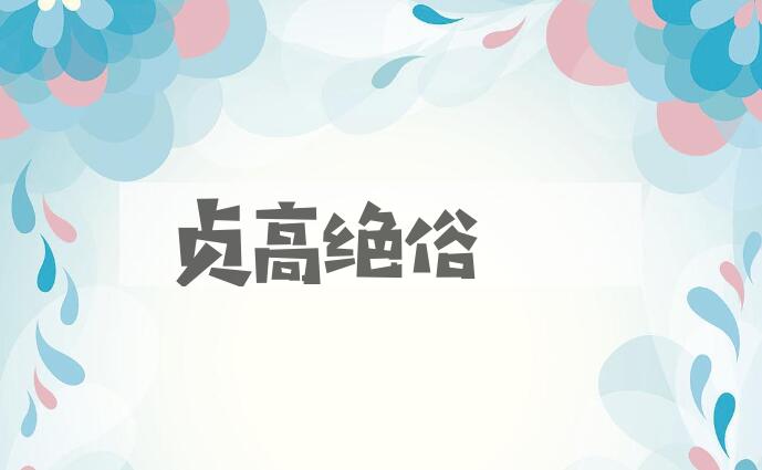 成语贞高绝俗是什么意思？