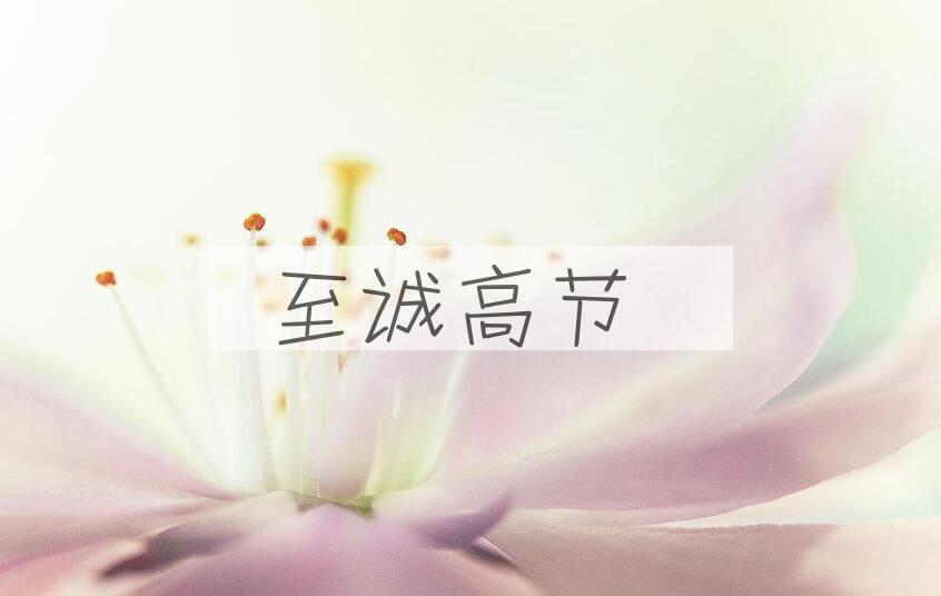 成语至诚高节是什么意思？