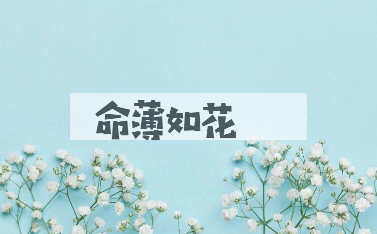 成语命薄如花是什么意思？