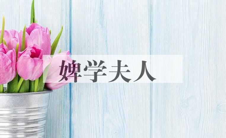 成语婢学夫人是什么意思？