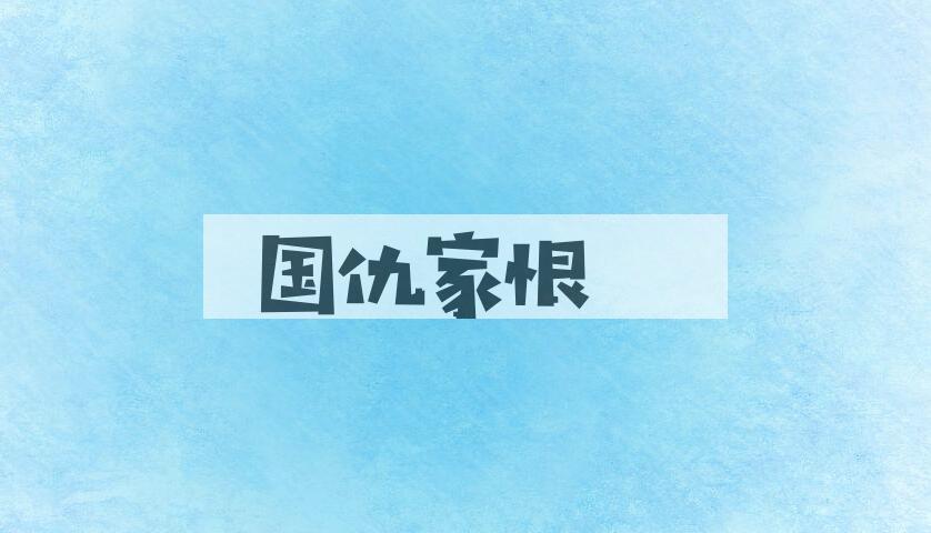 成语国仇家恨是什么意思？