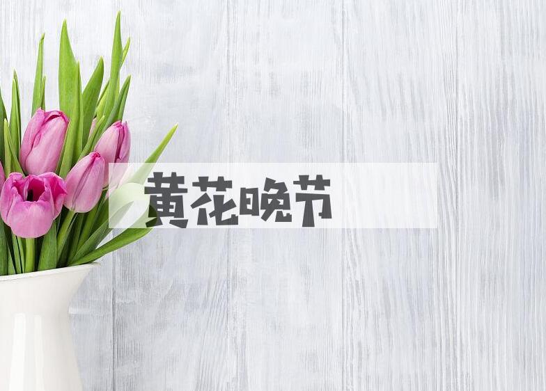 成语黄花晚节是什么意思？