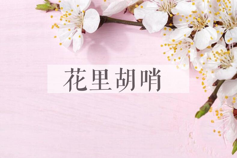 成语花里胡哨是什么意思？