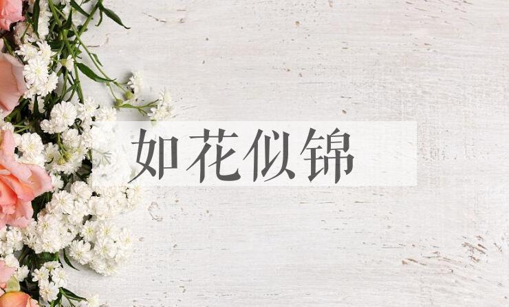 成语如花似锦是什么意思？