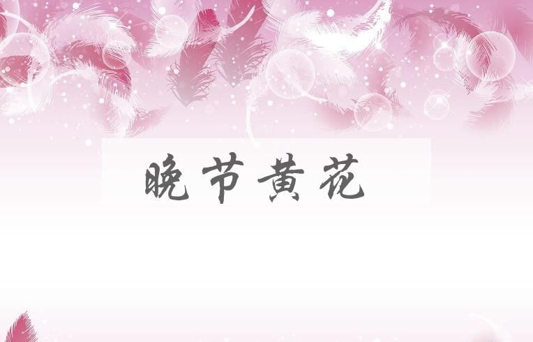 成语晚节黄花是什么意思？