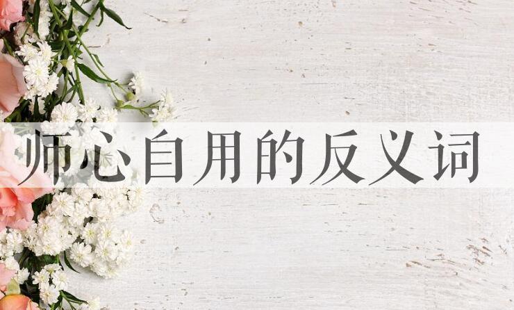 用师心自用造句