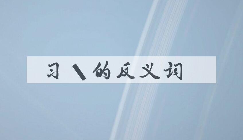 用习惯造句