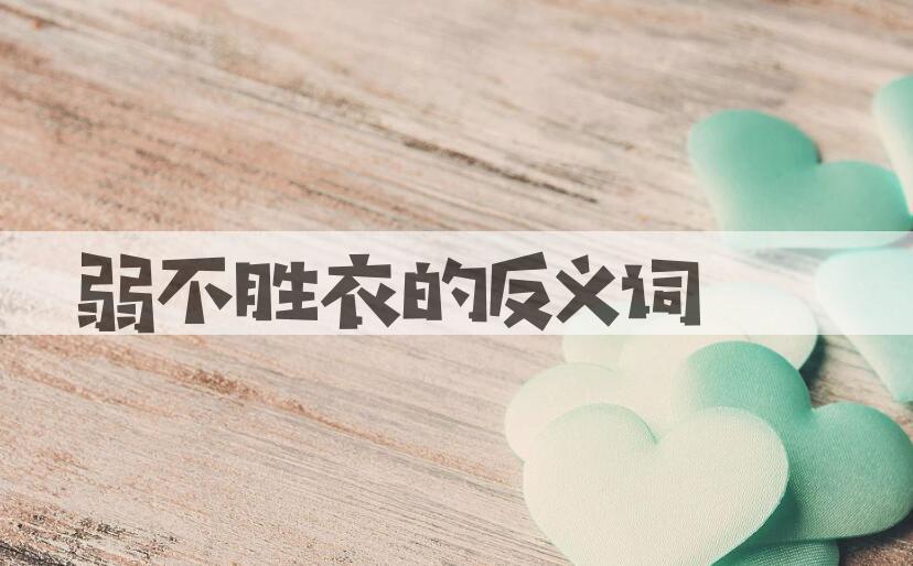 用弱不胜衣造句