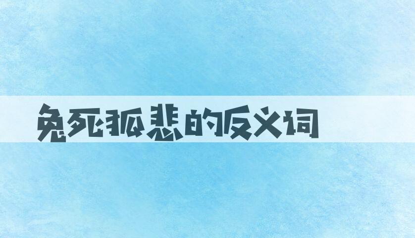 用兔死狐悲造句