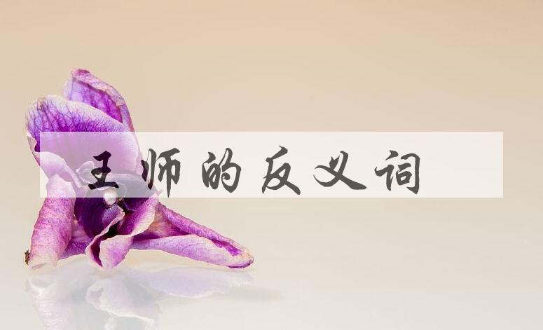 用王师造句