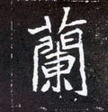 兰字的其他书法字体