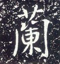 兰字的其他书法字体