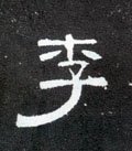 李字的其他书法字体