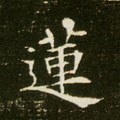 莲字的其他书法字体