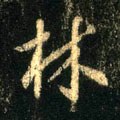 林字的其他书法字体