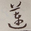 莲字的其他书法字体