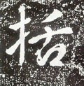 括字的其他书法字体