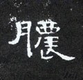 膿字的其他书法字体