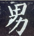 男字的其他书法字体