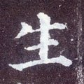 生字的其他书法字体