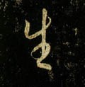 生字的其他书法字体