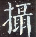 摂字的其他书法字体