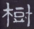 樹字的其他书法字体