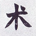 術字的其他书法字体