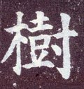 樹字的其他书法字体