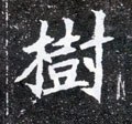 樹字的其他书法字体