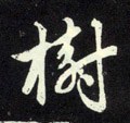 樹字的其他书法字体