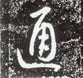 通字的其他书法字体