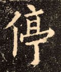 停字的其他书法字体