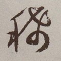 稀字的其他书法字体