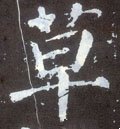 艸字的其他书法字体