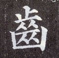 齒字的其他书法字体